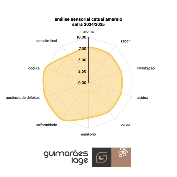 análise sensorial catuaí amarelo 2024/2025